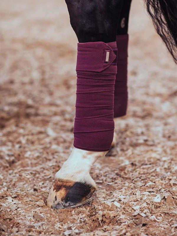 Bandes de polo PURPLE WHITE EDGE - Equestrian Stockholm