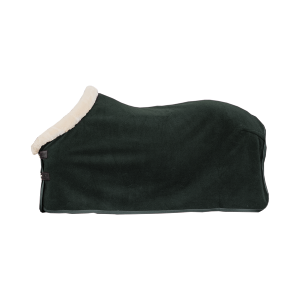 Show Heavy Drying Blanket - Kentucky