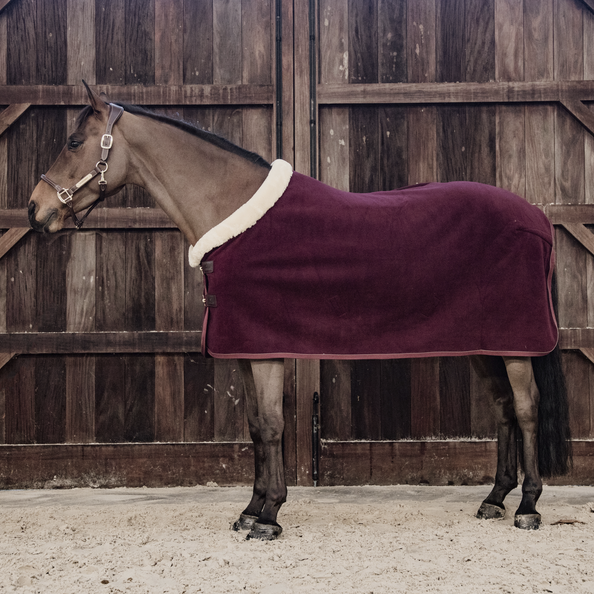 Show Heavy Drying Blanket - Kentucky