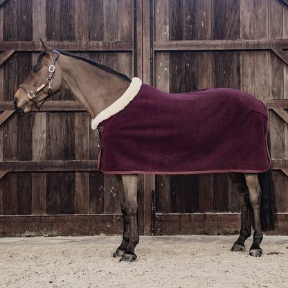 Show Heavy Drying Blanket - Kentucky