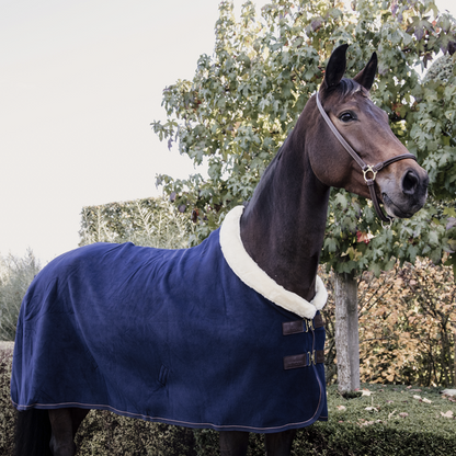 Show Heavy Drying Blanket - Kentucky