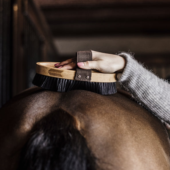 Brosse douce à poils durs - Kentucky