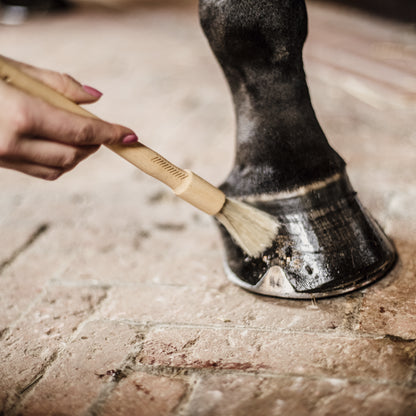 Hoof Brush - Kentucky