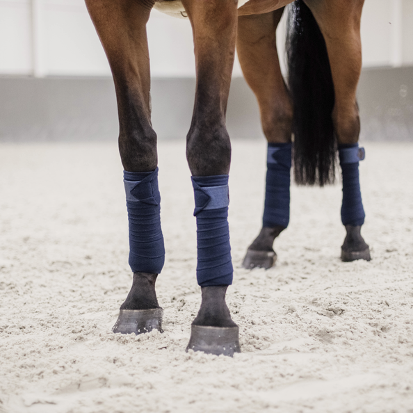 Bandes de polo Glitter - Kentucky