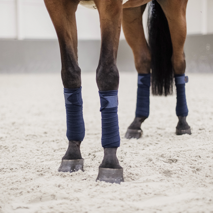 Bandes de polo Glitter - Kentucky