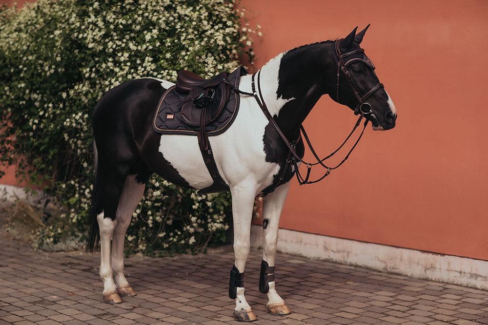 Tapis de selle Dark Sky - Equestrian Stockholm