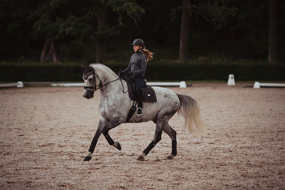 Tapis de selle Dark Sky - Equestrian Stockholm