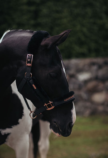 Licol doublé mouton et longe Equestrian Stockholm - DARK SKY