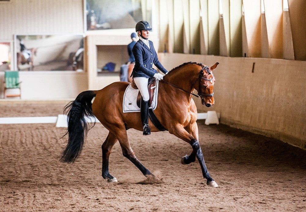 Tapis de selle White Perfection - Equestrian Stockholm