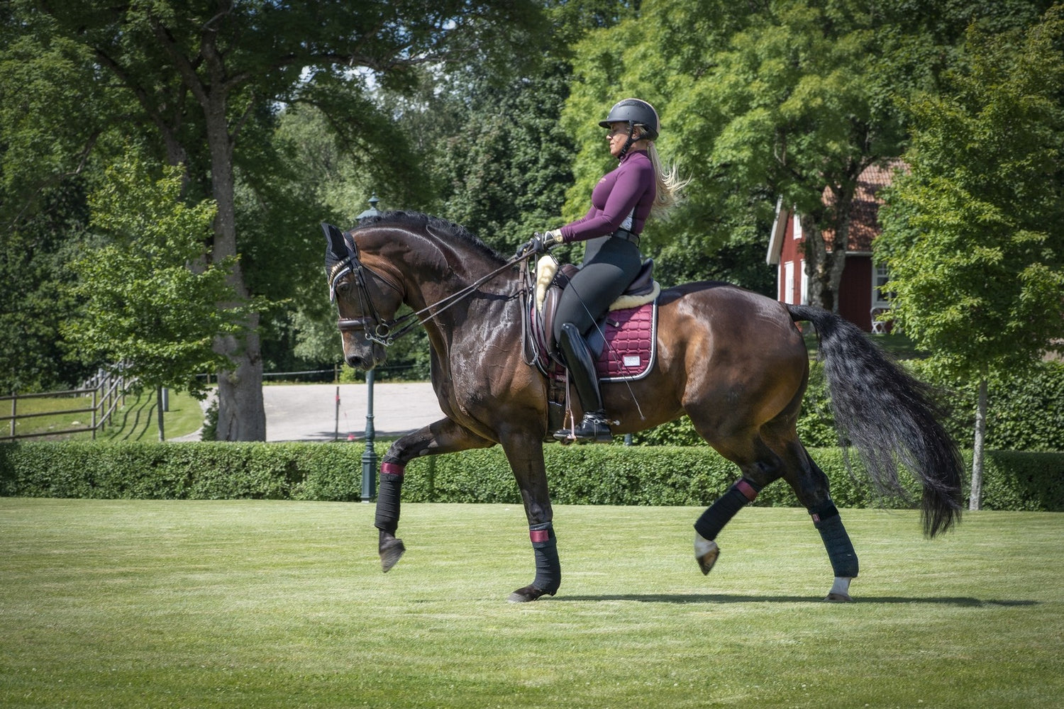 EQUITO saddle pad - Black Cherry