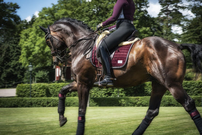 EQUITO saddle pad - Black Cherry