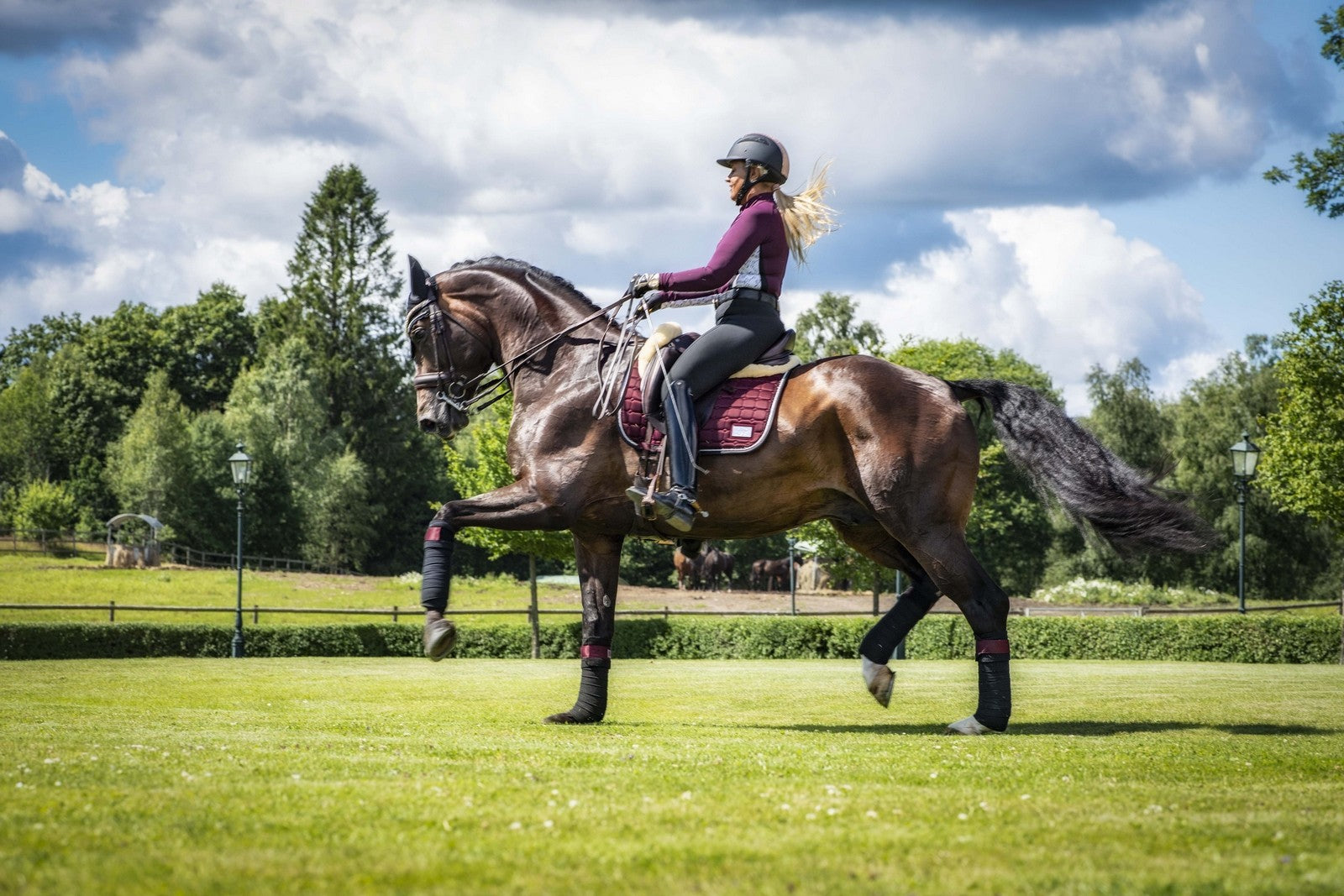 EQUITO saddle pad - Black Cherry