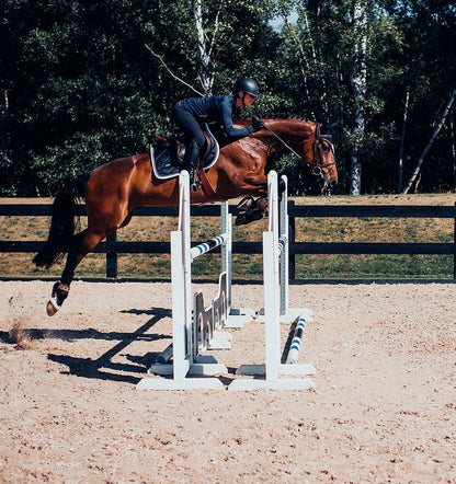Bonnet anti-mouches Equestrian Stockholm - MIDNIGHT WHITE EDGE