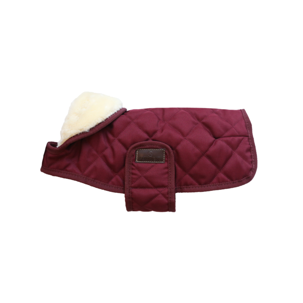 Manteau pour chien Original - Kentucky