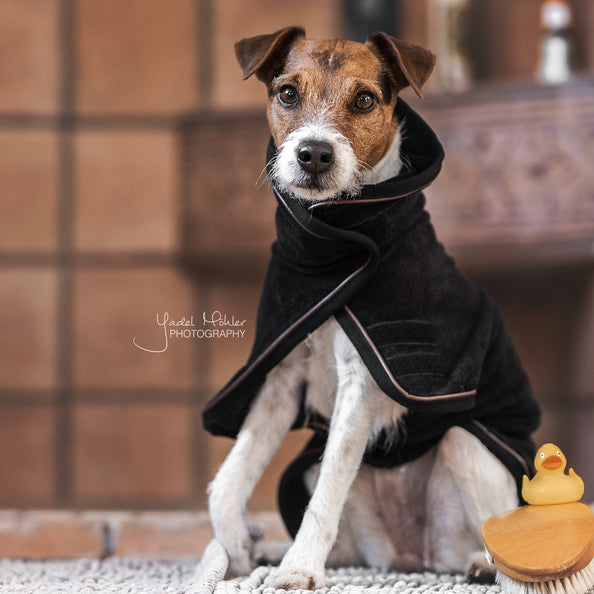 Dog Towel Coat - Kentucky