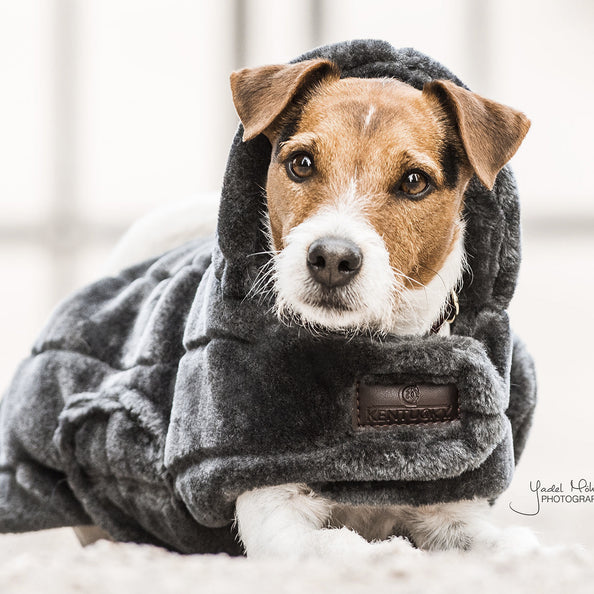 Manteau pour chien fausse fourrure  - Kentucky