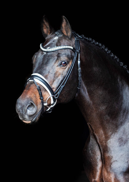 Bridon cuir rond Duke De Niro - SD Design