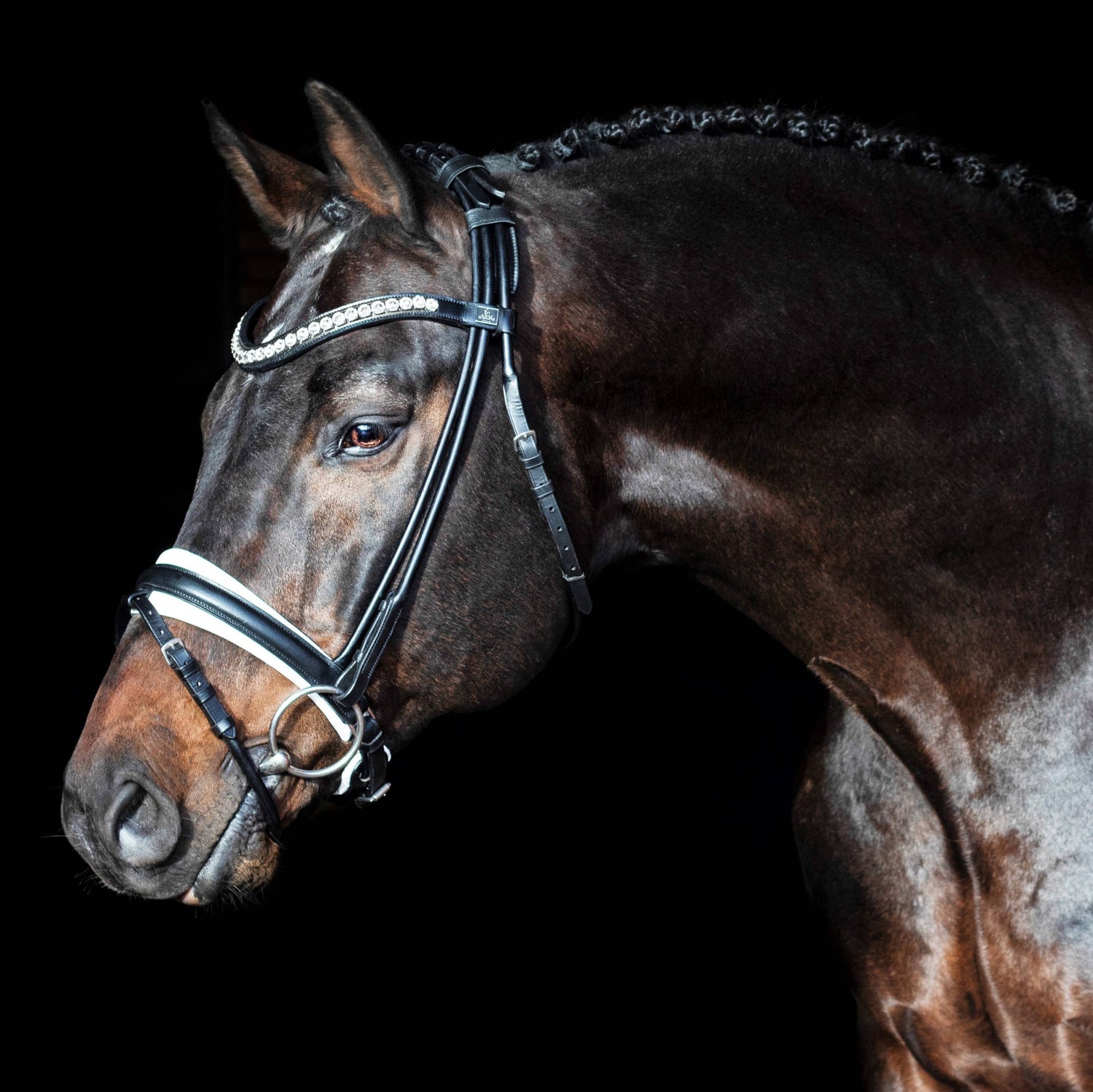 Bridon cuir rond Duke De Niro - SD Design