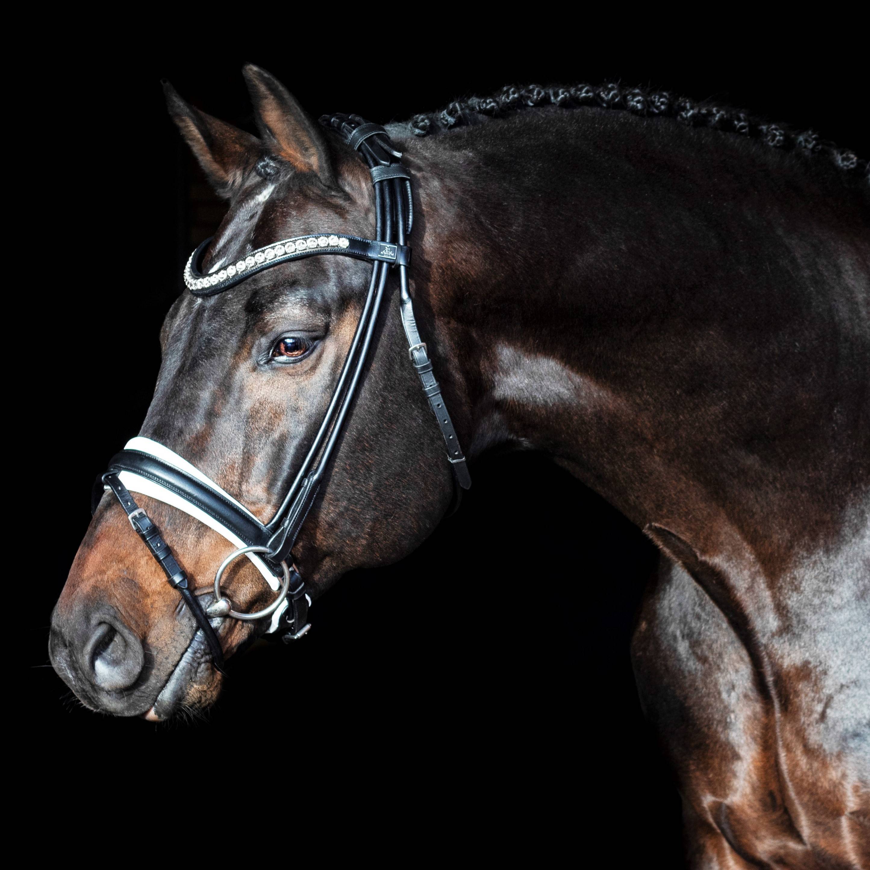 Bridon cuir rond Duke De Niro - SD Design