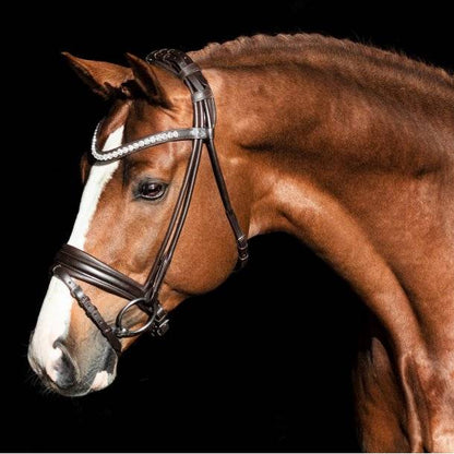 Bridon cuir rond Duke De Niro - SD Design