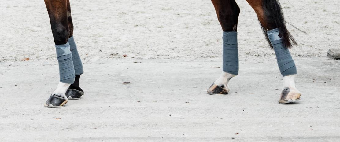 Bandes de polo Velvet  - Kentucky