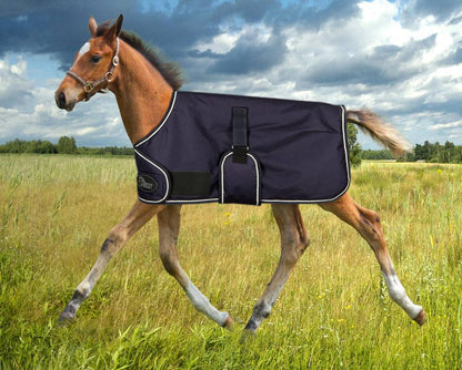 Newborn Foal Blanket - Harry&