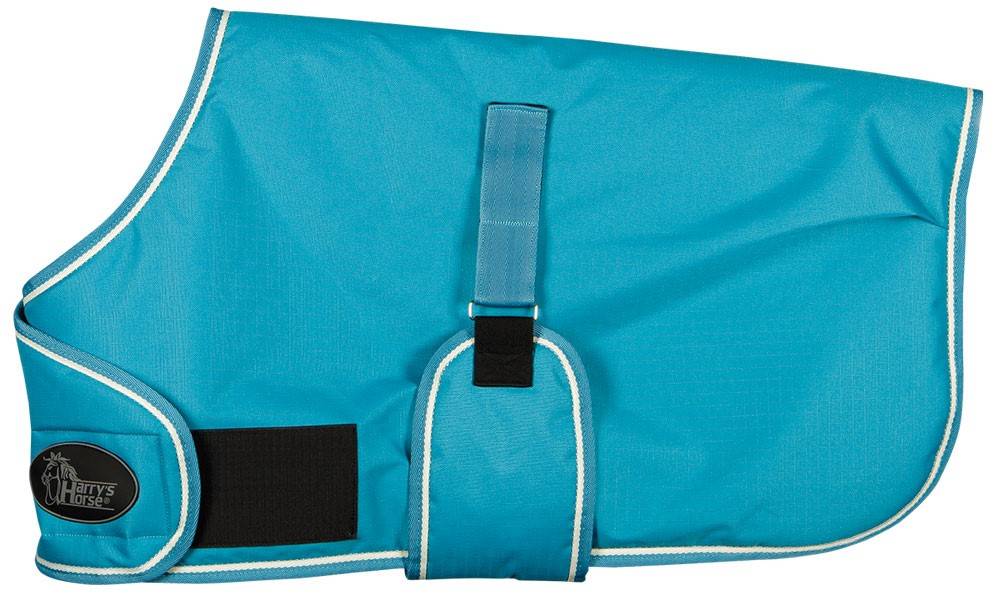 Newborn Foal Blanket - Harry&