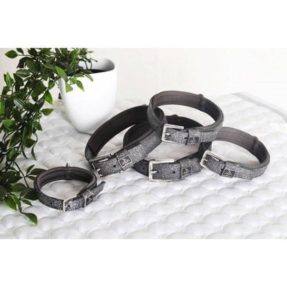 Collier pour chien Hollywood Glamorous - SD Design