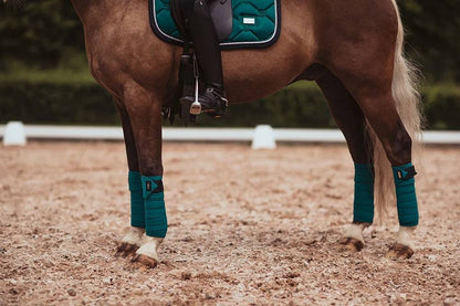 Bandes de polo Equestrian Stockholm - Emerald