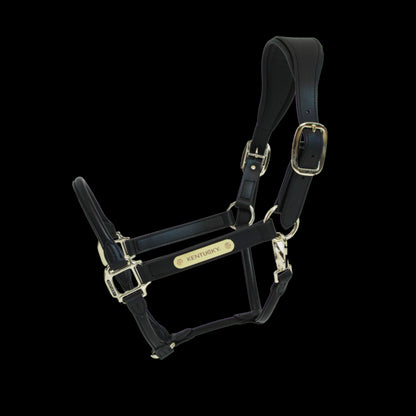 Anatomical leather halter - Kentucky