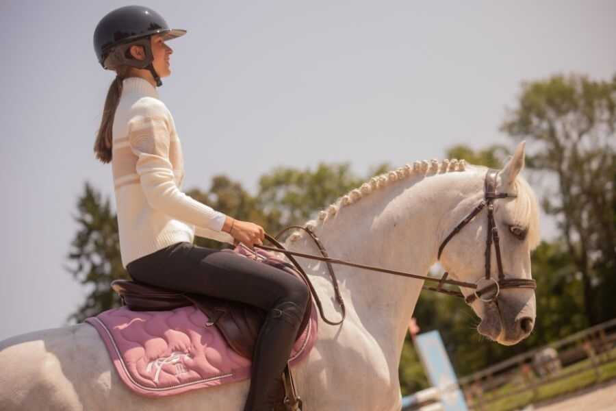 Tapis de selle Diamant Lila - PENELOPE COLLECTION