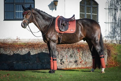 Cinnamon Spice saddle pad - Equito