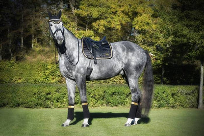 Saddle pad Black/Gold - EQUITO 