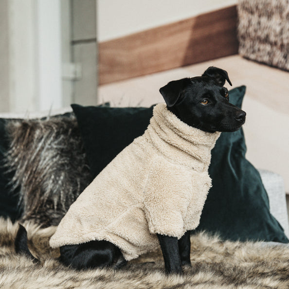 Teddy Fleece dog sweater - Kentucky