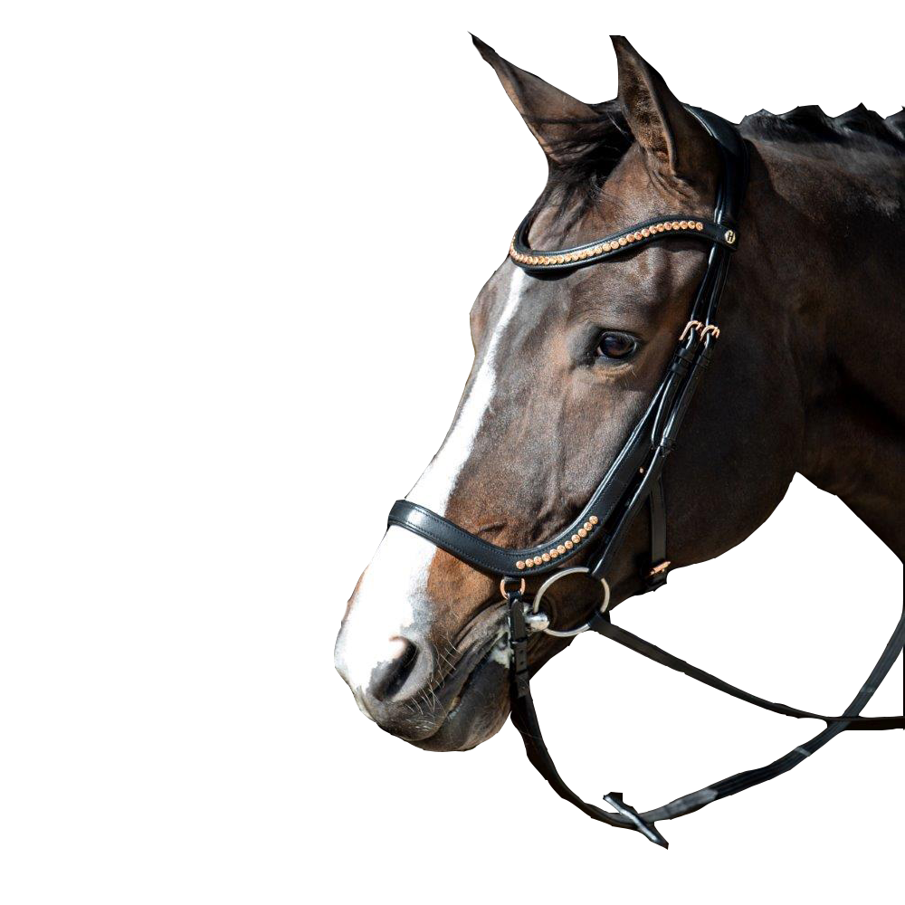 Bridon Rose Gold Anatomic - Harry&