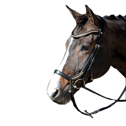 Bridon Rose Gold Anatomic - Harry&