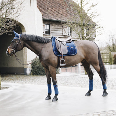 Tapis Velvet Basic Bleu Marine DRESSAGE - Kentucky