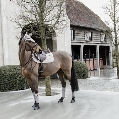 Basic Velvet Polo Bands - Kentucky