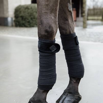 Basic Velvet Polo Bands - Kentucky