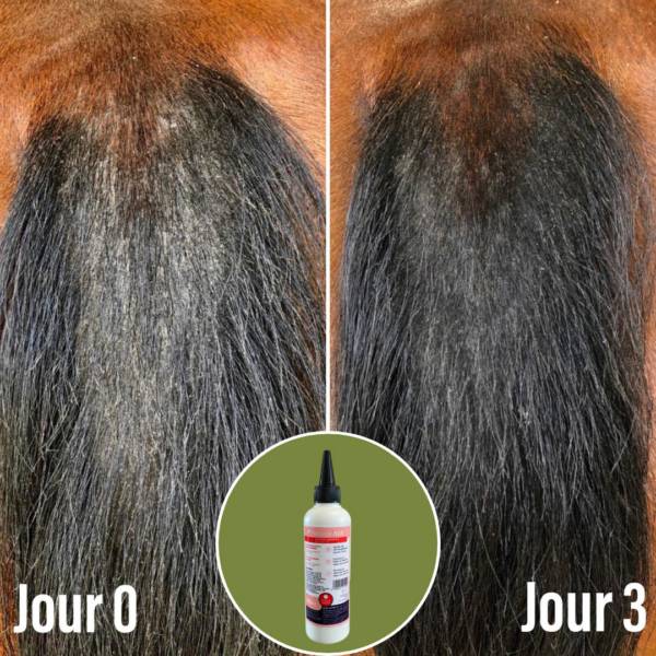 Soin pour la dermite Natural&