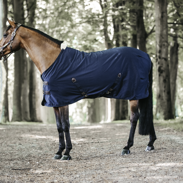 Chemise coton - Kentucky