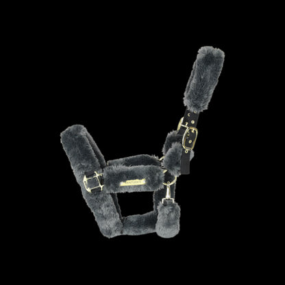 Sheep transport halter - Kentucky