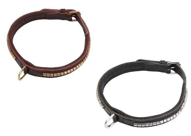 Collier pour chien clincher