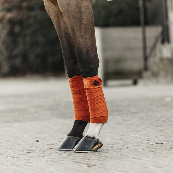 Bandes de polo Velvet  - Kentucky