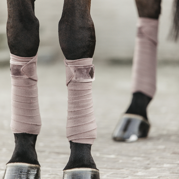 Bandes de polo Velvet  - Kentucky