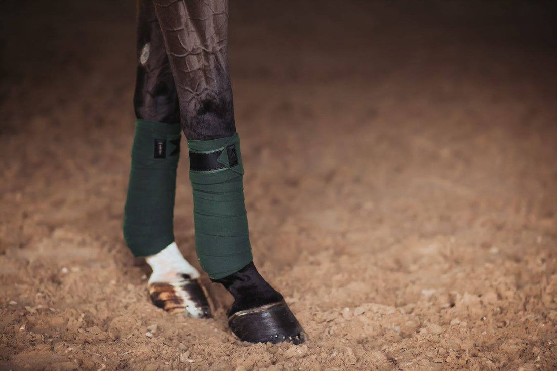 Bandes de polo Equestrian Stockholm - Deep Olivine