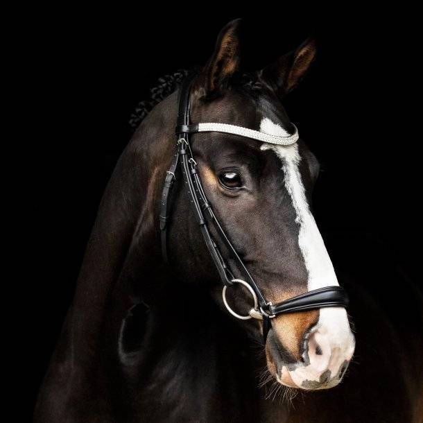 Ballarina Bridle German Noseband Black - SD Design