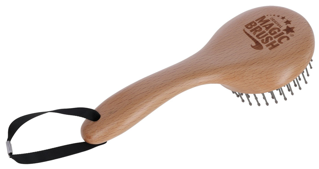 Brosse à crins en bois - Magic Brush