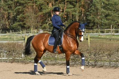 Navy Shimmer fleece bands - Equito