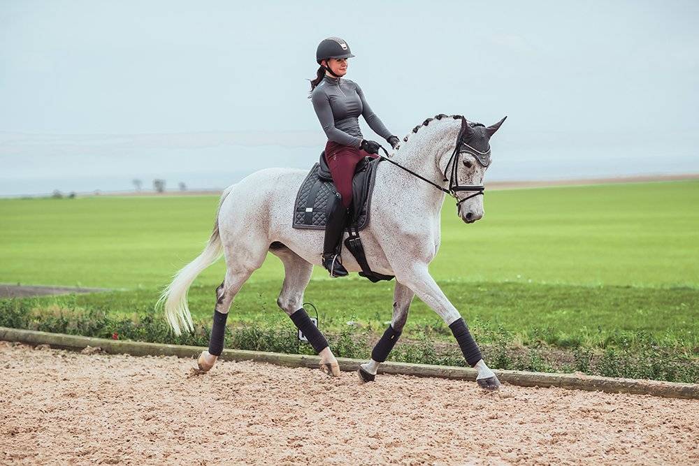 No Boundaries Silver Cloud saddle pad - Equestrian Stockholm